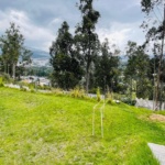 WhatsApp Image 2026-02-26 at 3.19.00 PM (1)