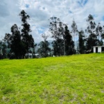 WhatsApp Image 2026-02-26 at 3.19.00 PM (4)